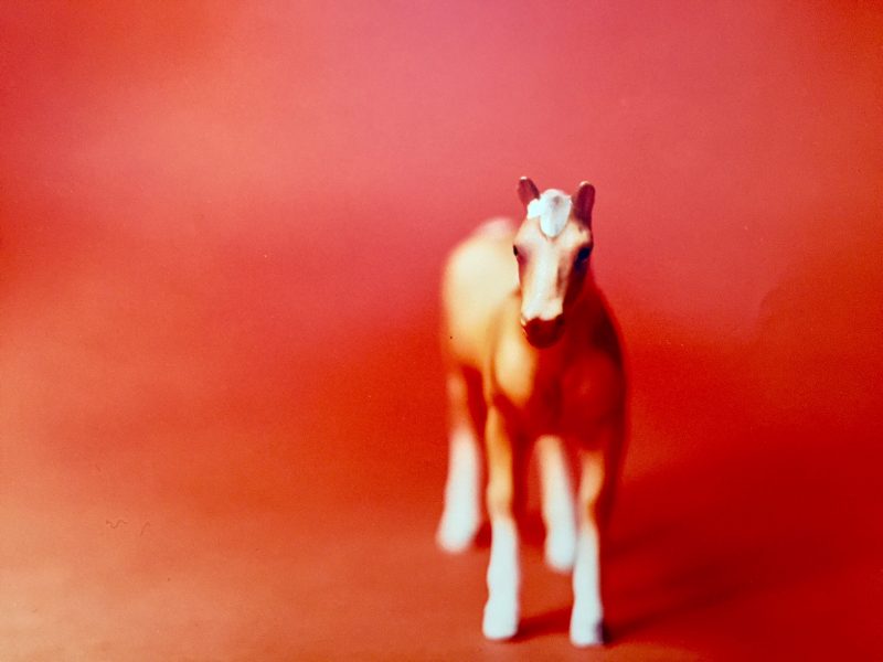Eve Fowler (Los Angeles & New York, USA), 'Toy Horse', C-print photograph (printed in a lab / not digital), 11 x 14 inches, Signed and dated 1997, AP. $2250. 