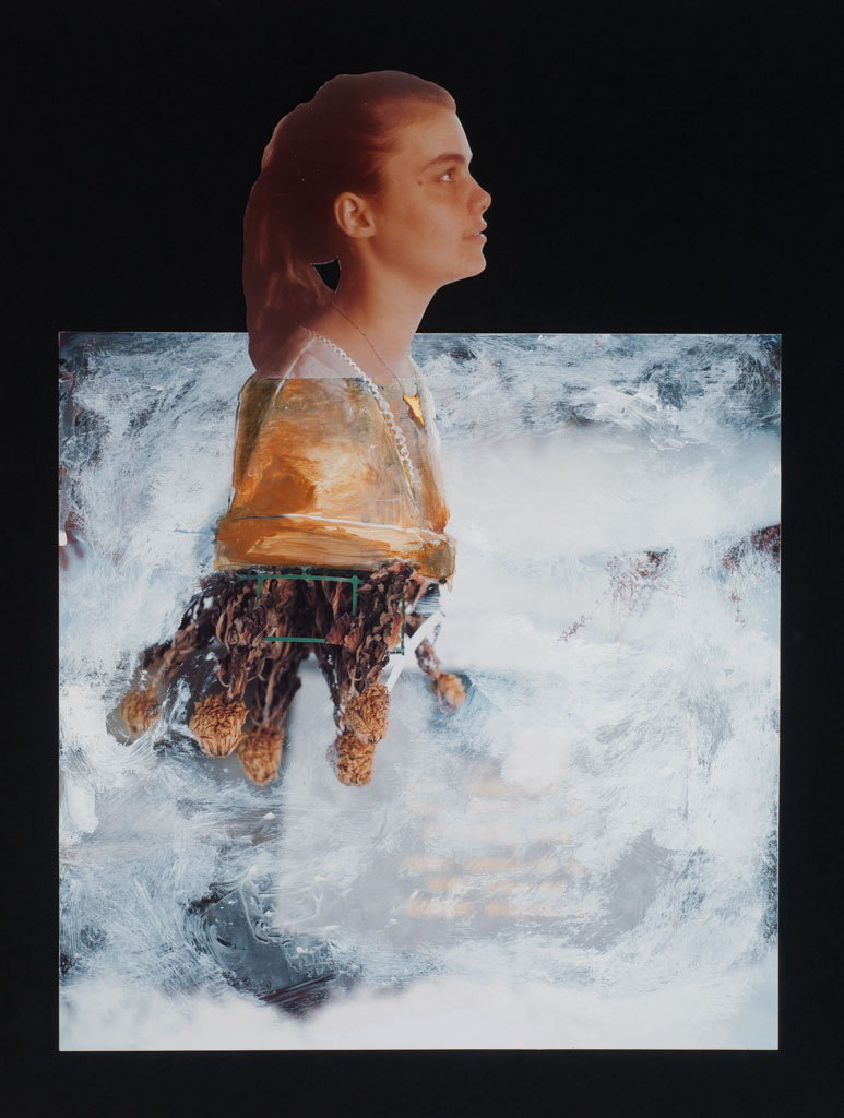 Meaghan Haughian, Touching the sky, 2014, mixed media and collage on photograph, 16 x 12 inches, $685 framed