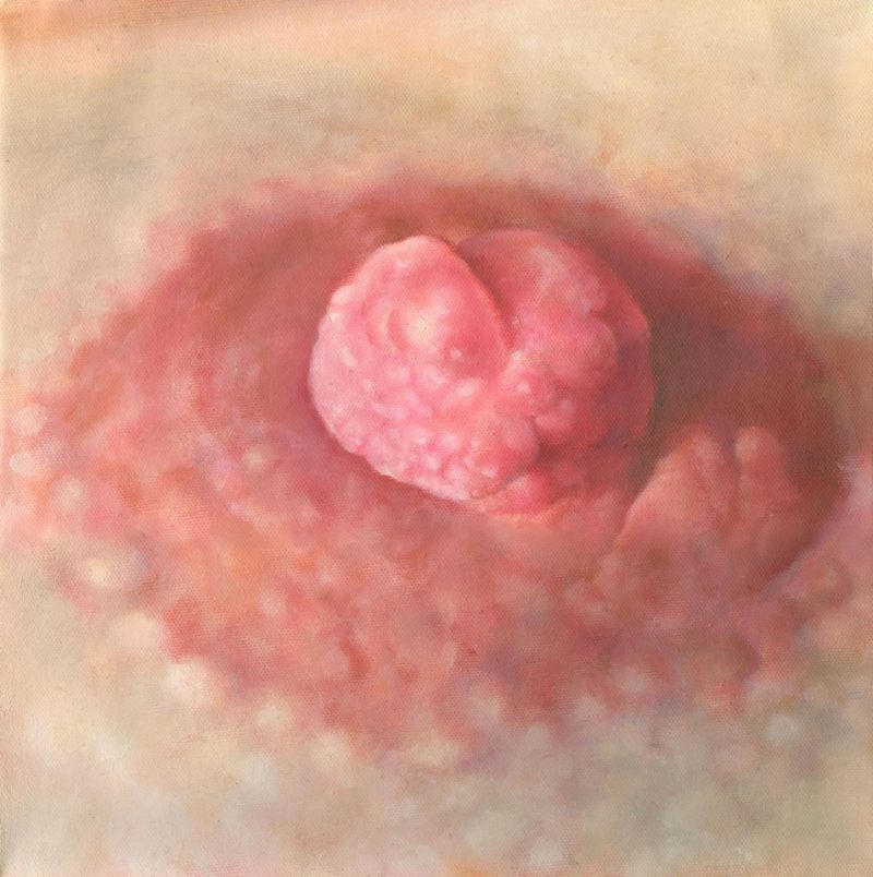 Naruki Kukita, Charles' Nipple, Oil on Canvas,  12 x 12 inches, 2007. Private Collection.