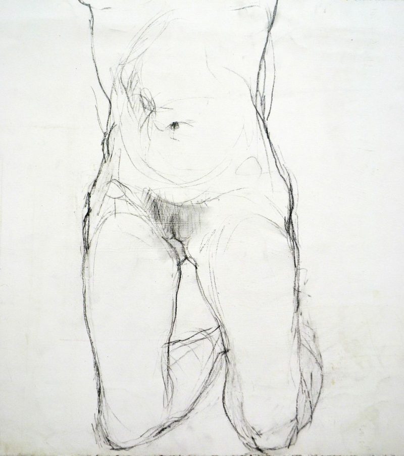 Pleasure (2005), pencil on gessoed paper, 22 x 18 inches, $300    
