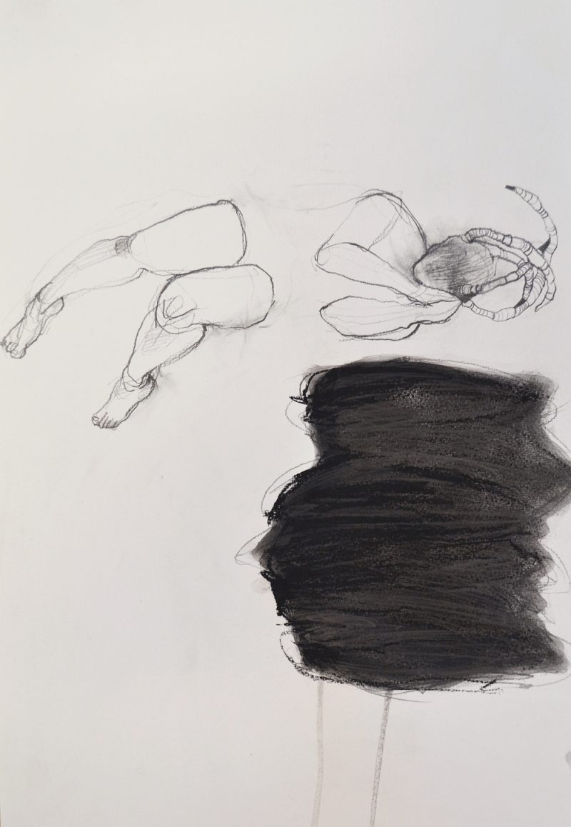 Aleks Bartosik, Pillow Hog, 12 x 18 inches, Pencil and Charcoal on Paper. Pre-Sold.