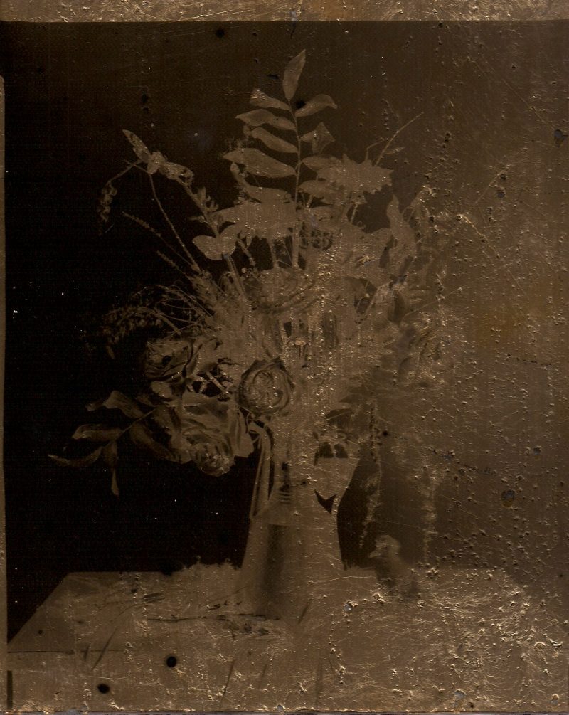 Glass Plates by Whitney Lewis-Smith. 8x10 glass plates, Silver halide emulsion, gelatin, gold leaf.
The glass plate negative is coated first in gelatin followed by a light sensitive silver halide emulsion.  It is then exposed in an 8x10 studio camera, developed, and dried.  The negative is then adhered to an additional glass plate that has been coated in gold leaf, which acts as a backdrop for the exposed image. $250 each.
