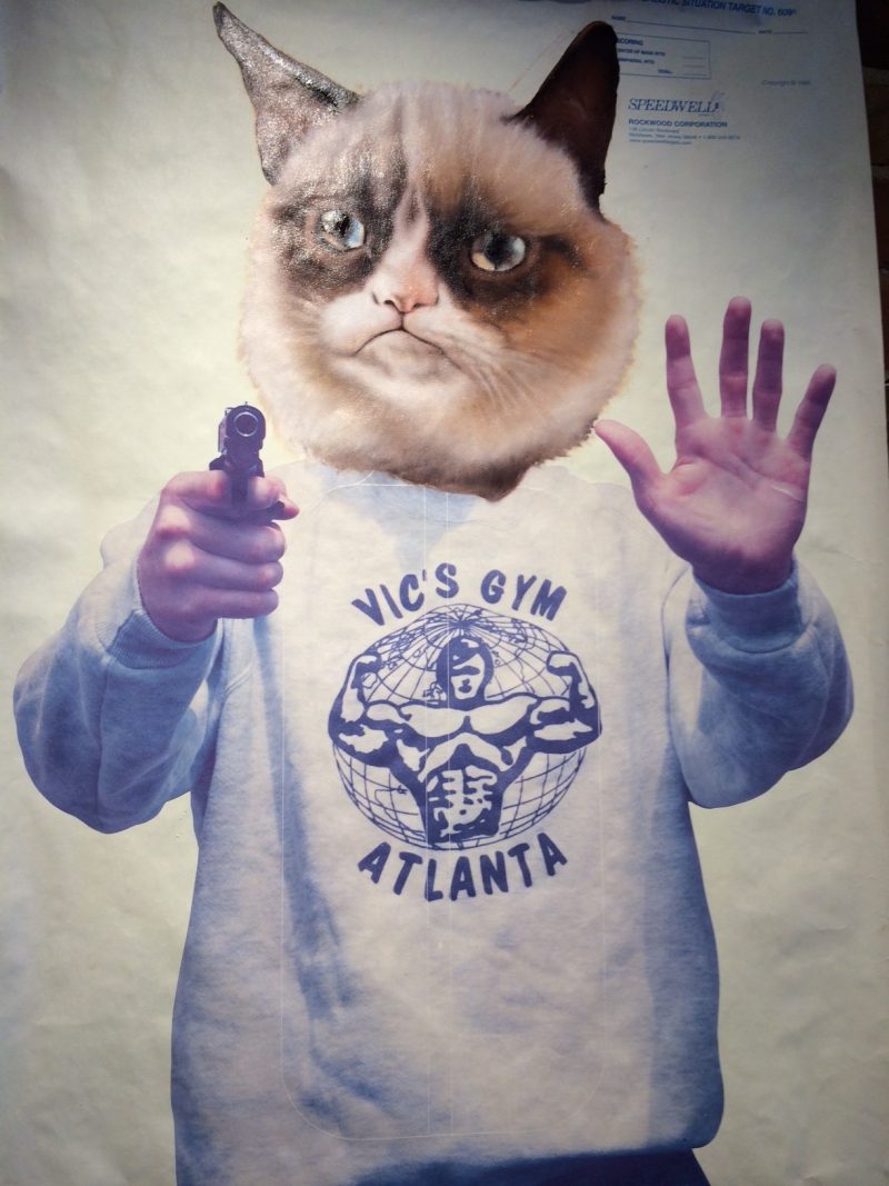 Grumpy Cat, by Peter Shmelzer,  35 x 22 inches, Oil on shooting range poster, 2014. SOLD to the Ottawa City Collection.