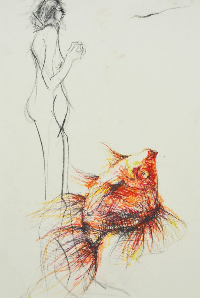 Lady Fish (2003), Pencil and Coloured Pencils on Paper, 14 x 10 inches, $200