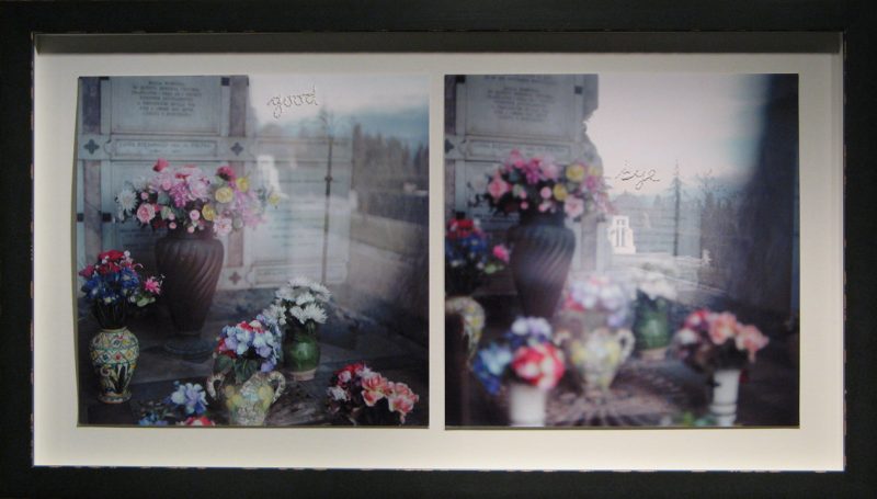 Seeking the good in bye, embroidery on colour photographs_2012, 17 x 29 inches framed, $725 framed, SOLD