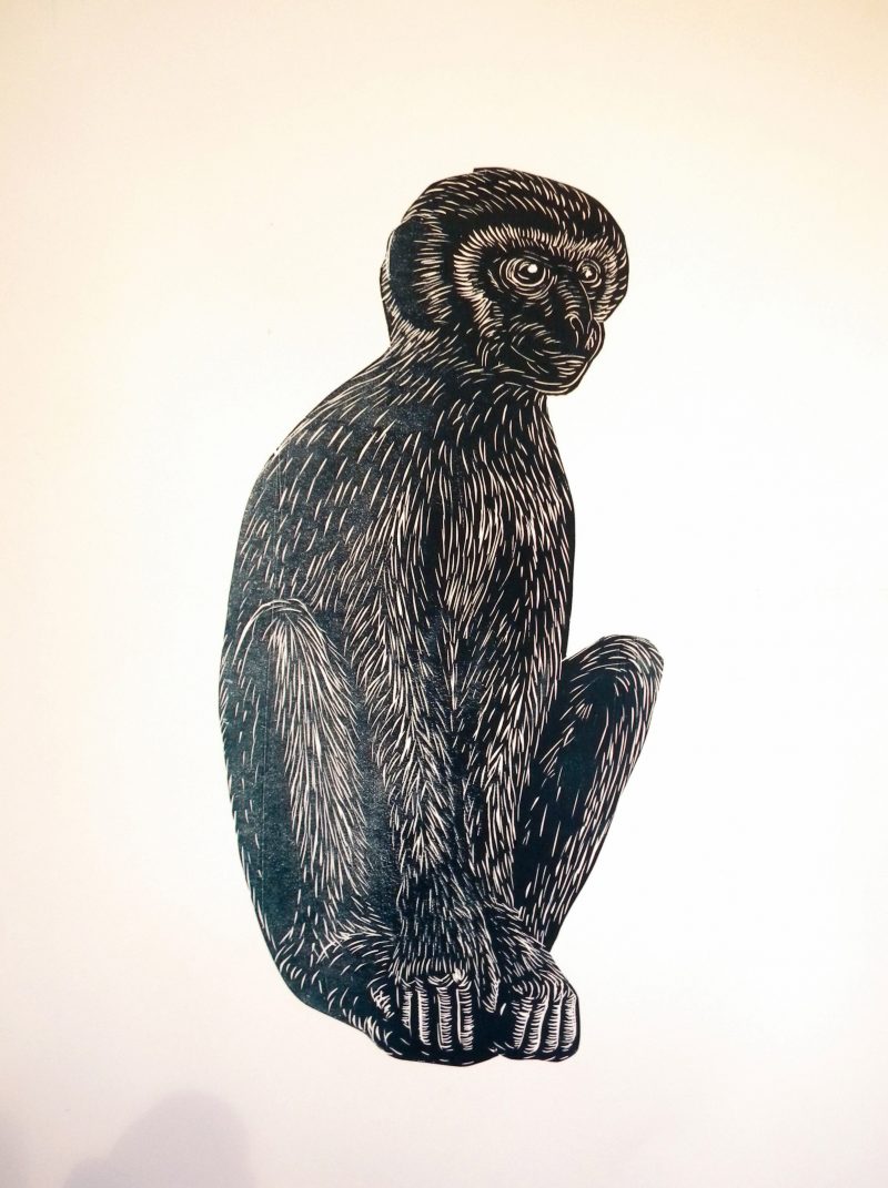 Monkey White, Linocut Print on Paper, Paper 76cm x 57cm, Print  62cm x 46cm, 2012, $300