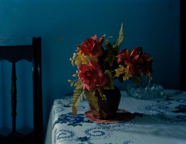 Fake Flowers, Photograph, 14 x 11 inches, 2010.