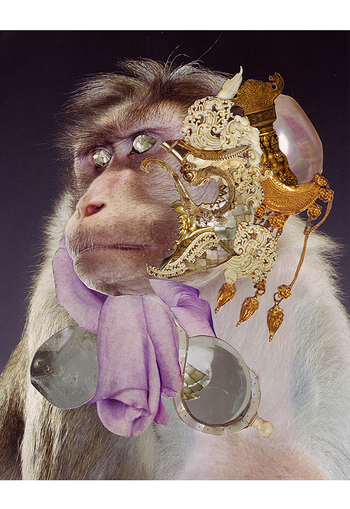 Monkey 6, Collage, 10 x 8 inches (approx), 2011, $650