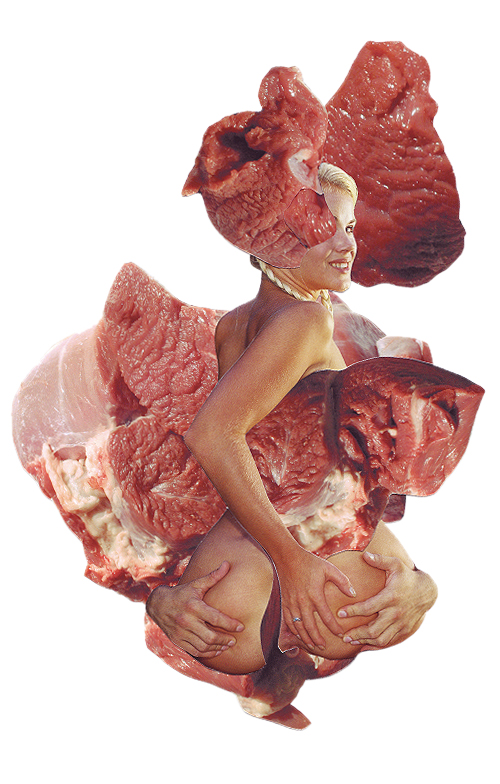 Meat 8, Collage, 8x 5 inches (approx), 2008, $650