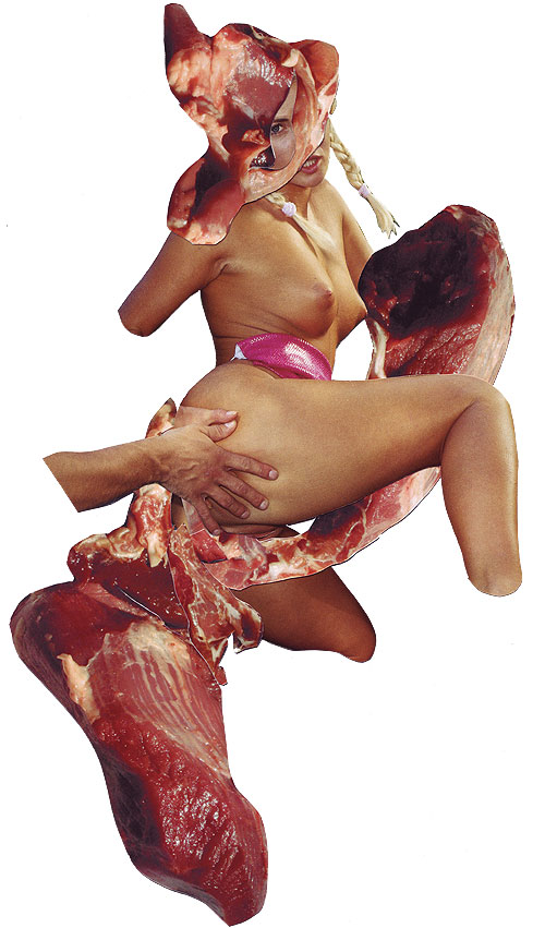 Meat 12, Collage, 8x 5 inches (approx), 2008, $650