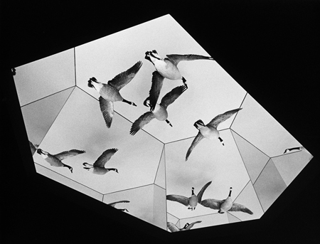 Captivity #35, Gelatin Silver Photograph, 11 x 7.25 inches, $125