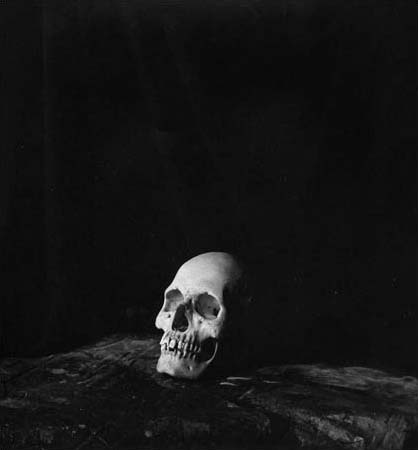 Skull Vanitas, NYC Series, 1989, Toned, Mat Silverprint Photographs, 13 x 15 in, Edition of 10, (for reference only / not for sale)
