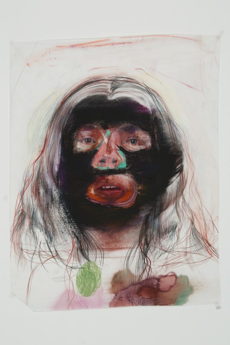 Geoff Chadsey (New York, USA), Untitled #2 (black faced moss), 18 x 14 inches / 46 x 36 cm, Watercolor pencil, crayon on mylar (with occasional latex spray paint), 2014