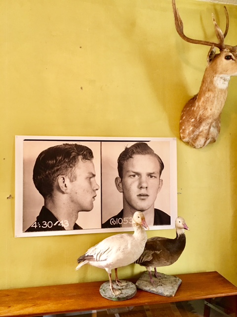 Pretty Boy Mug Shot, 1950's, Unknown Photographer, Photograph/Digital Print, Original print was 4 x 5 inches. Printed on 26 x 44 inches on mat paper, $450 unframed.