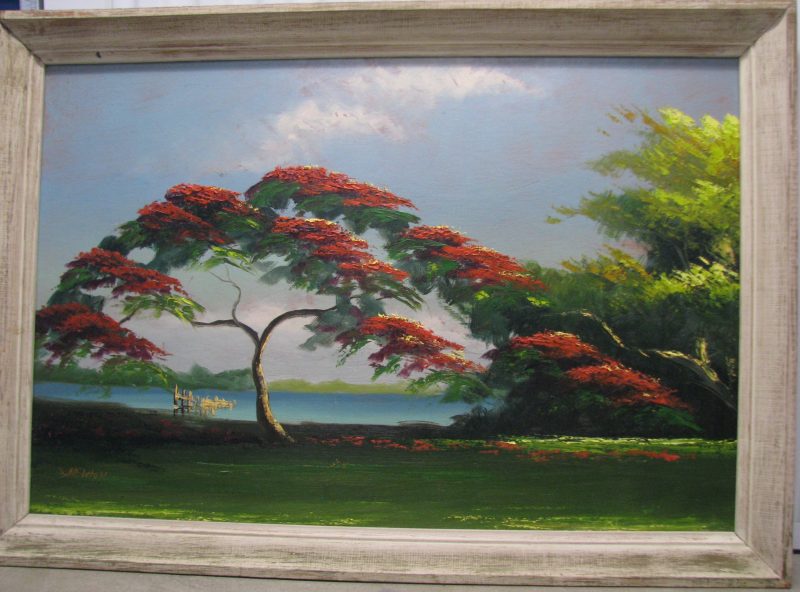 Samuel 'Sam' Newton, (Born 1948), Royal Poinciana Tree #1, Oil On Upson Board, 61x92cm_(Image), 72x103cm (Framed), 1968, Signed.