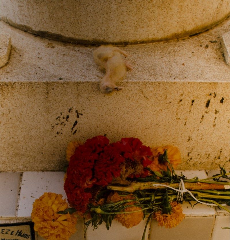 Valerie Burton, Sacrifice, Day of the Dead Oakaca, Edition 1/10, photograph, 24 x 20 inches, signed, 1996, $300 unframed. Now $165.