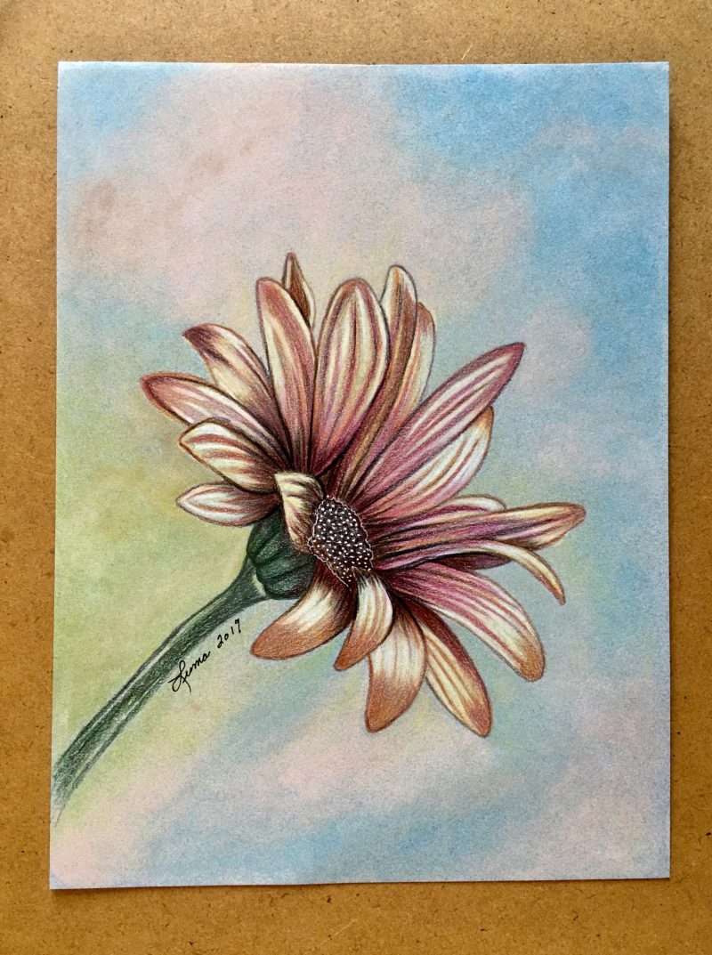 Wonderful Set of Color Pencil Drawings, Each depicting the artist's variation in style & subject. All signed by Puerto Vallarta artist 'LUMA' with the year it was created. Each measure 9 x 12 inches. Please specify which is your choice; sold separately. Asking $200 pesos each. (Image One)