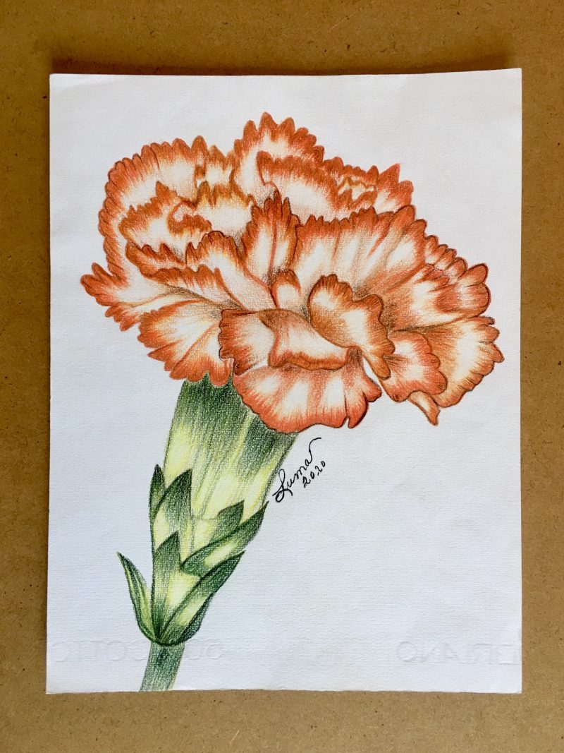 Wonderful Set of Color Pencil Drawings, Each depicting the artist's variation in style & subject. All signed by Puerto Vallarta artist 'LUMA' with the year it was created. Each measure 9 x 12 inches. Please specify which is your choice; sold separately. Asking $200 pesos each. (Image 5).