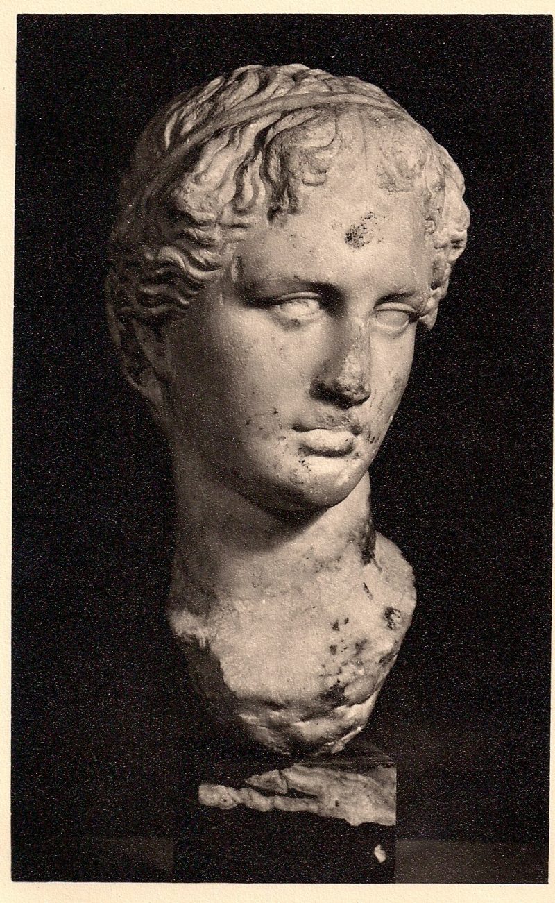 Marble: Head of youth, Greek 4th Century. Fitzwilliam Museum, Cambridge. Authentic Vintage Photographic Postcard, 1940-50's, Measures 4.5 x 5 inches (card sizes vary), Mild to no aging, SOLD.