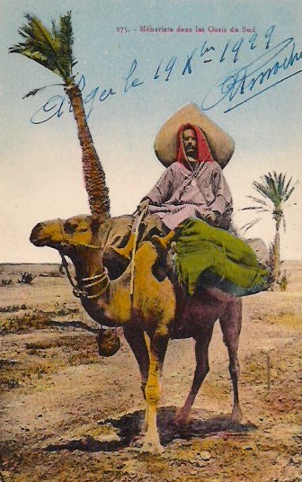 Authentic Vintage Postcard,  Dated December 19, 1929, Hand written message in ink on verso, in French. Acquired in London, England. 3.5 x 5.5 inches, $15.
