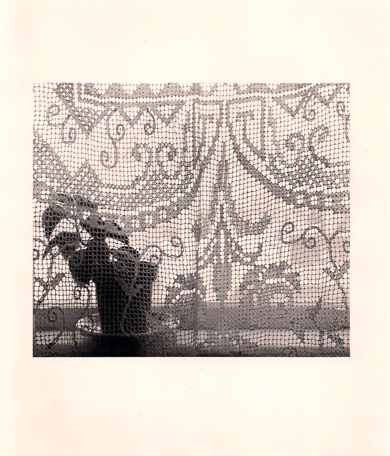 Unknown Artist, Curtains & Plant, Silver Gelatin Photograph, 8 x 10 inches, 1980's, $25.
