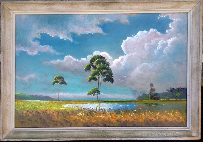 Sam Newton (Born 1948), Everglade Tall Pine, Oil On Upson Board, 61 X 92cm (Image) 81 X 112cm (Framed), 1978, Signed.