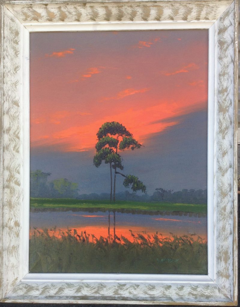 Sam Newton (Born 1948), Fire Sky Palm, Oil On Canvas, 46 X 61cm (Image), 66 X 81cm (Framed), 1977, Signed.