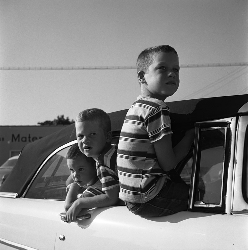 Vivian Maier, Los Angeles, Three Boys in Car. 1955.