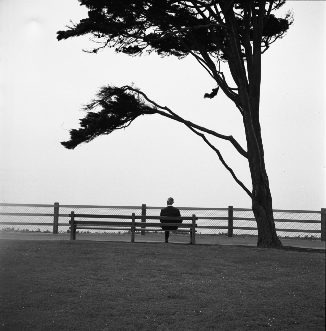 Vivian Maier, Untitled, Figure Sitting Beneath Tree. 1960