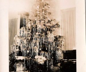 Set of Vintage Christmas Trees Found Photos