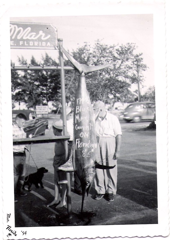 Mid Century Authentic Photograph,  'Florida 1954 / Blue Marlin 8 foot-5 inches'. Print Measures 3.5 x 5 inches. $15