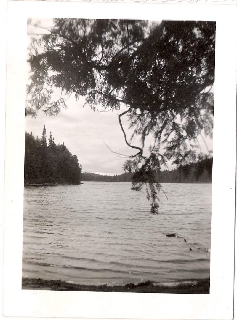Vintage Anonymous Photograph, 'Lake View with Trees', Handwritten 'Aout 1949', Measures 2.75 x 3.75 inches. $15