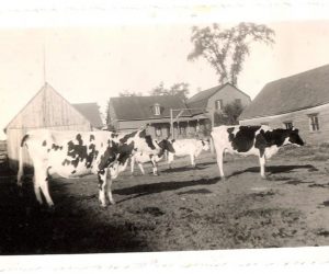 Vintage Photos Farm Life