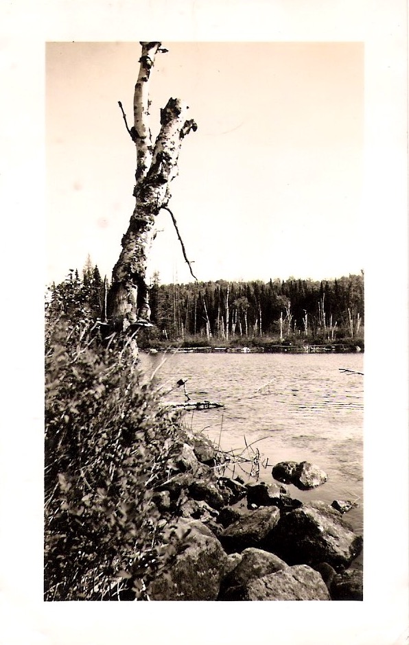Vintage Anonymous Photograph, 'Tree & River Scenery', 'Sept 1950' written on verso, Measures 3 x 4.5 inches. SOLD.