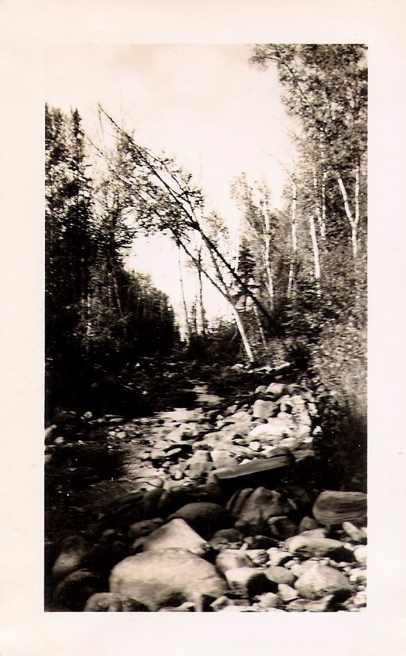 Vintage Anonymous Photograph, 'Tilting Tree Path & Creek', Handwritten on verso; 'Sept 1950', Measures 4.75 x 3 inches. $15