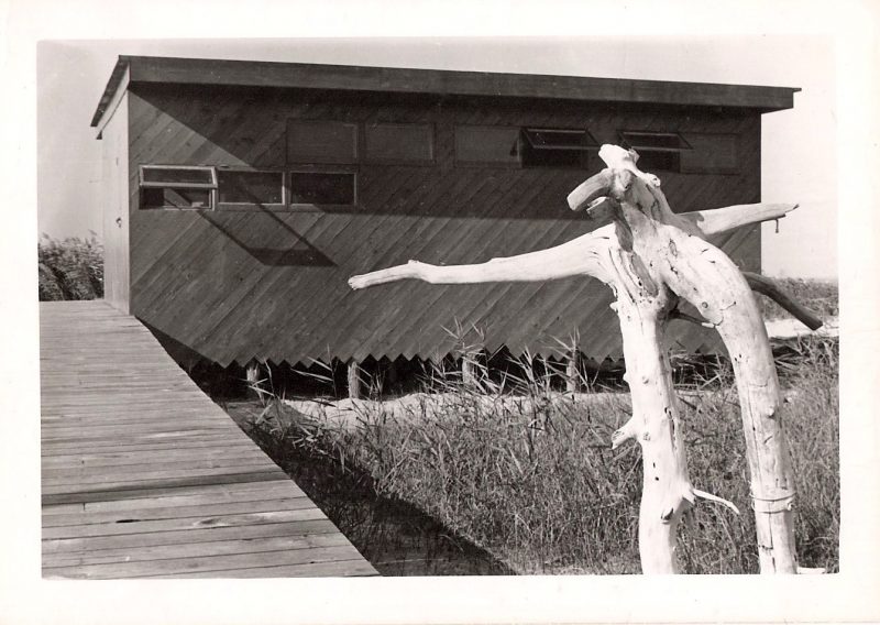 Mid Century Vintage Authentic Photograph, 'Cherry Grove Beach House with Found Wood Outdoor Sculpture', Measures 4.5 x 3.25 inches, SOLD.
