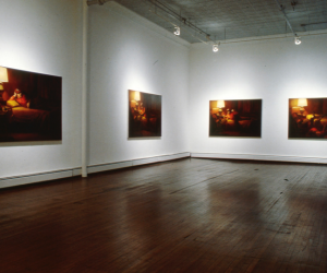 Ron Feldman Gallery, New York 1992-94