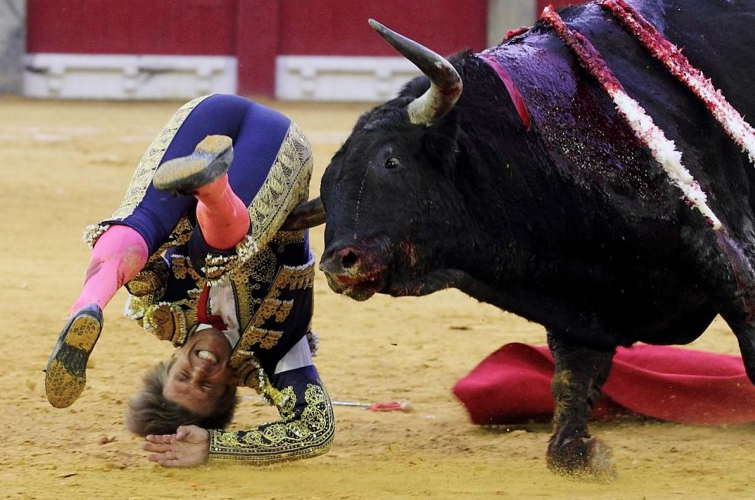 (Image for reference ony) Spanish matador El Cordobes is gored by a bull during a bullfight at La Misericordia bullring during El Pilar Feria in Zaragoza on October 12, 2013. (Alberto Simon/AFP)