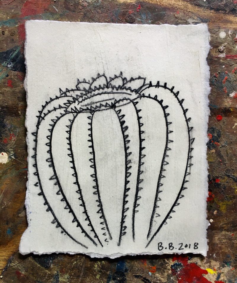 ´Biznagà' 2018, Cactus From Wirikuta (Real de Catorce), Brewster Brockmann, Boca de Tomatlan, Mexico. Graphite on Found Paper, 14x15 cm. Signed, Titled & Dated. USD$100 / CAN$130