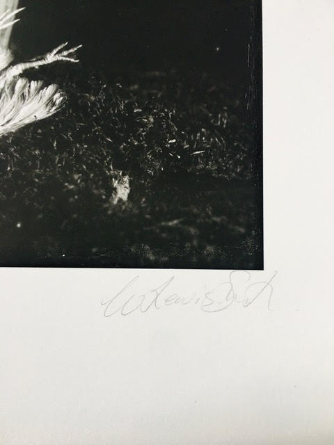 Whitney Lewis-Smith (Ottawa, Canada), Authentic Photograph, Untitled 2014, Print measures 15 x 18 inches / Image measures 11 x 13.5 inches. Signed & dated in pencil at bottom of print in white border. 
