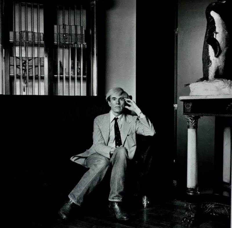 'Warhol & Penguin' photographed by Marcus Leatherdale. Available soon at upcoming fundraiser for Boca de Tomatlan community in need, Mexico.