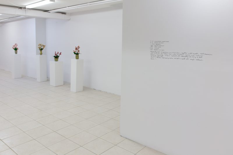 'On a Table, Over Time', 2023, installation view, 'the plumb' Gallery, Toronto, Curated by Callum Schuster 