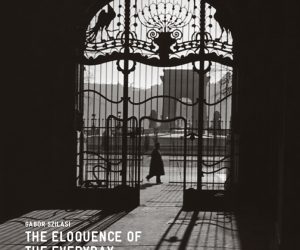 Gabor Szilasi: The Eloquence of the Everyday 2009
