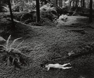 SOLD. Wynn Bullock ‘Child in Forest’ Photograph 1952